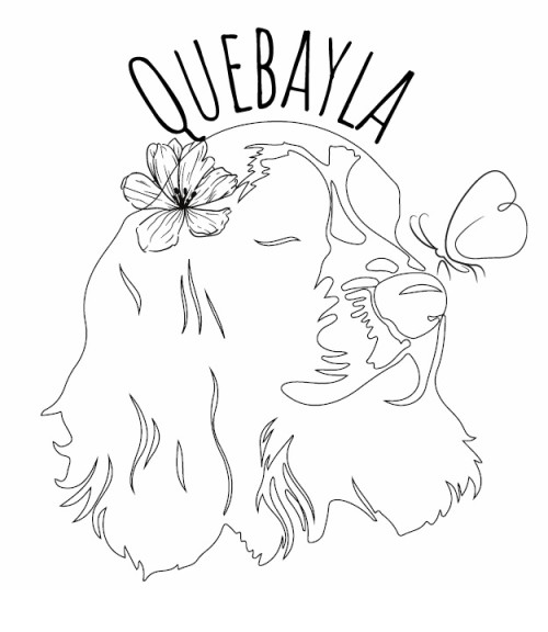 QUEBAYLA - strona główna
